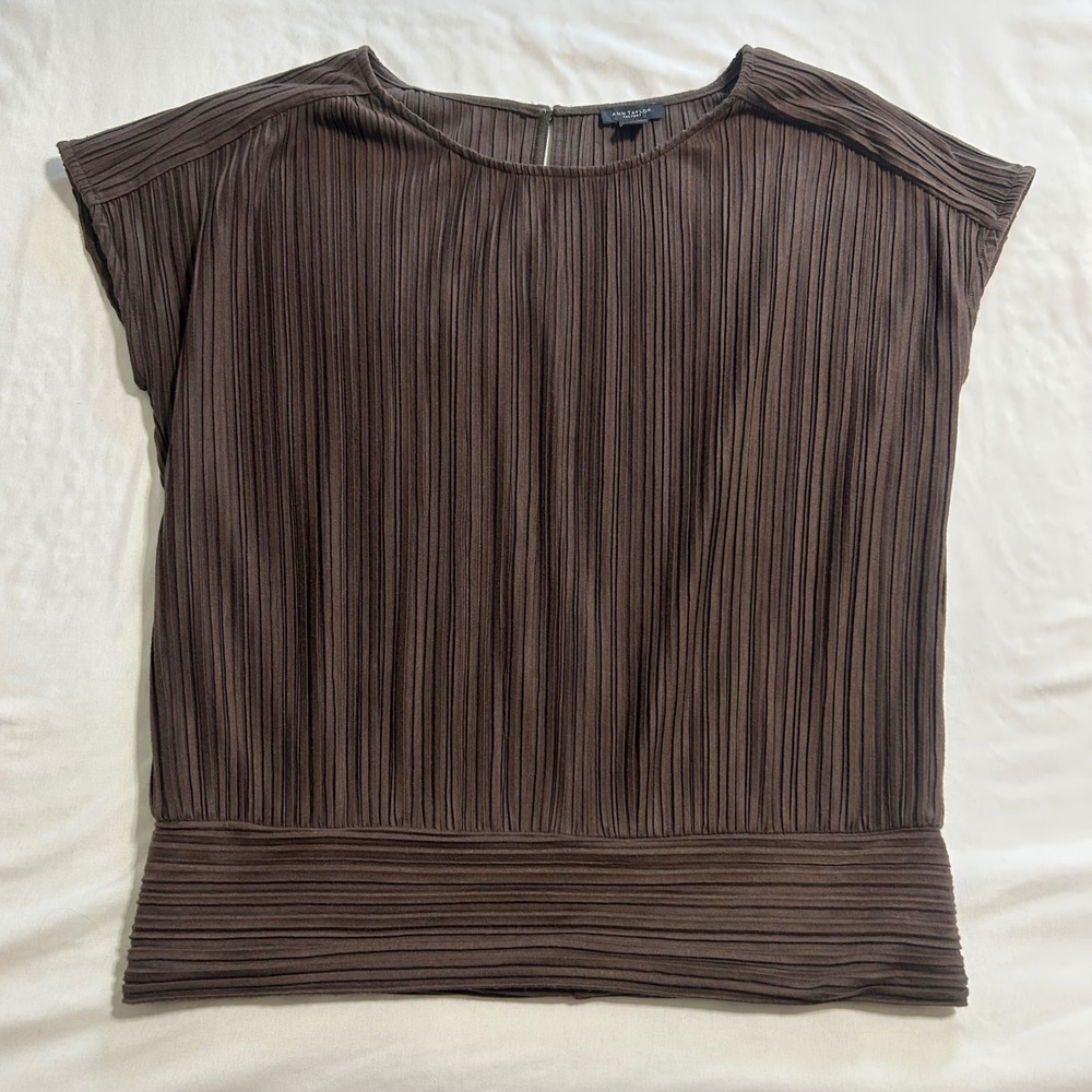 Ann Taylor Factory Brown Pleated Short Sleeve Blouse Banded Hem Small RN77379